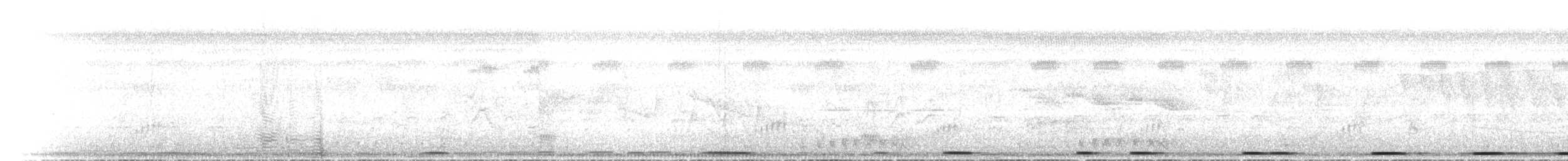 Tourtelette améthystine - ML437476321