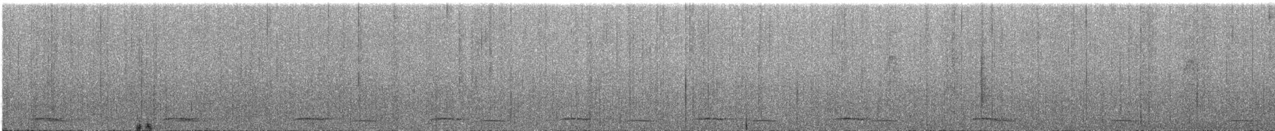 セアカウズラバト - ML437479501