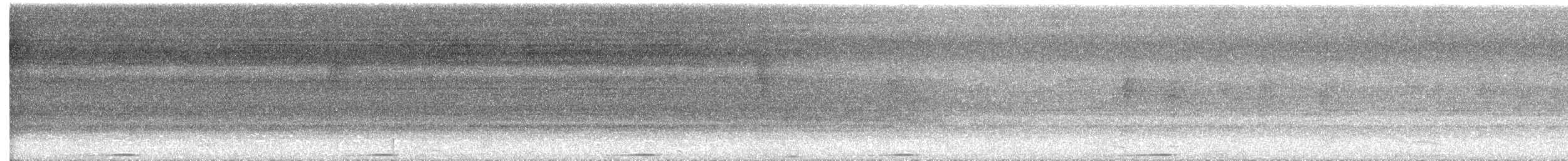 dvergedderkoppjeger - ML437480151