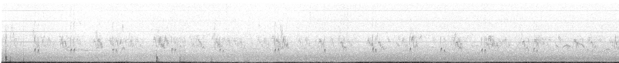 東方環頸鴴 - ML437500801