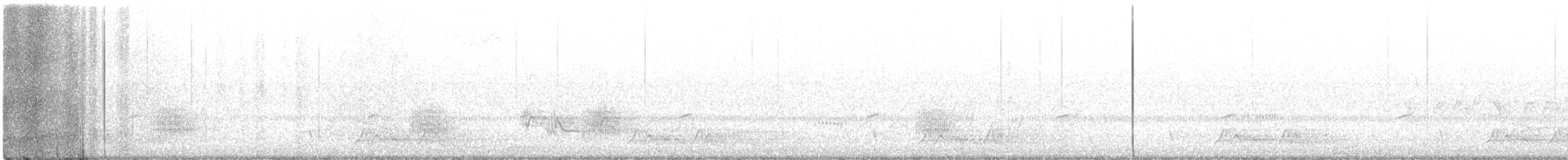 Carolinanachtschwalbe - ML437636981