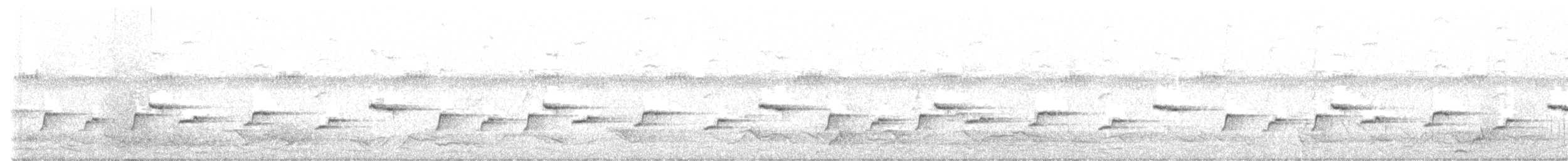 Large-billed Gerygone - ML437732541