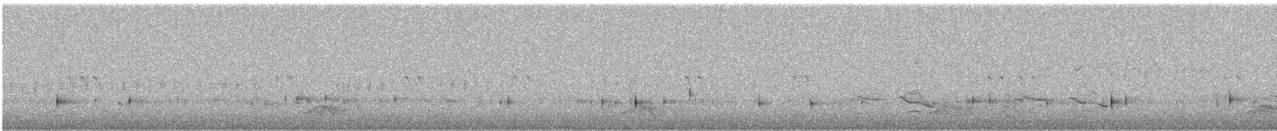 Tinamou à capuchon - ML43780011