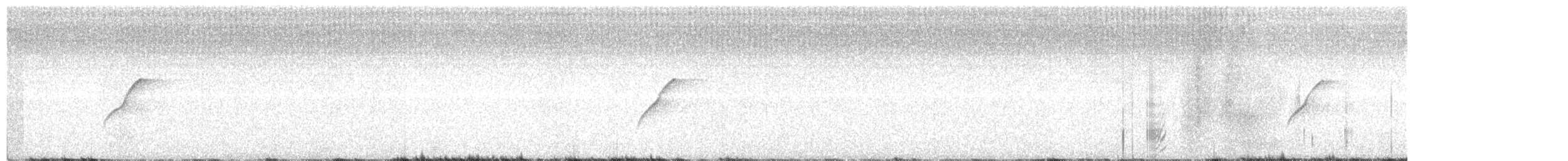 Batı Amerika Sinekkapanı (occidentalis/hellmayri) - ML437856841