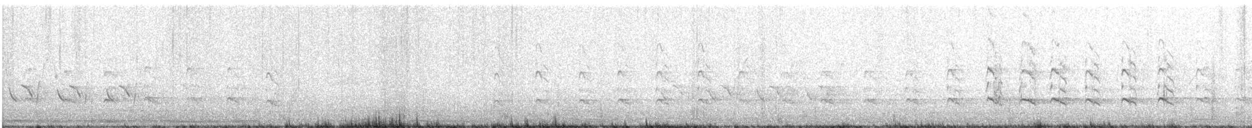 Greater Yellowlegs - ML437857391