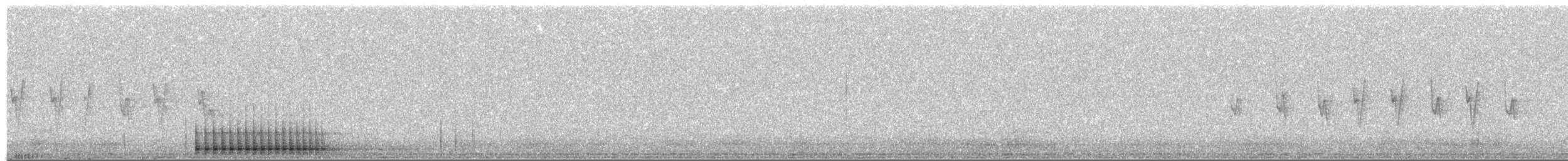 Большой пёстрый дятел (canariensis/thanneri) - ML437916461