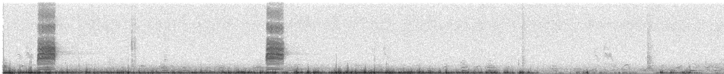 Great Gray Shrike (Sahara) - ML437917641