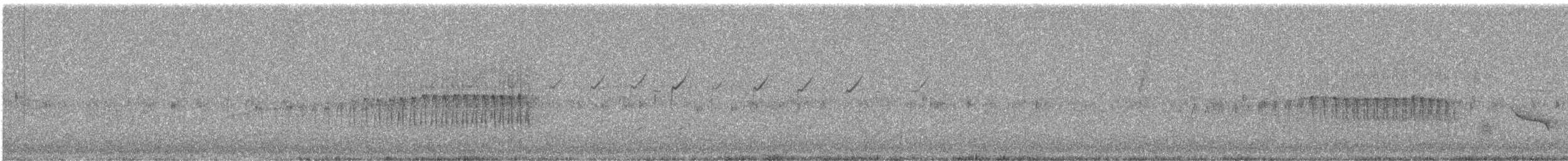 Корпуана плямистощока - ML43792531