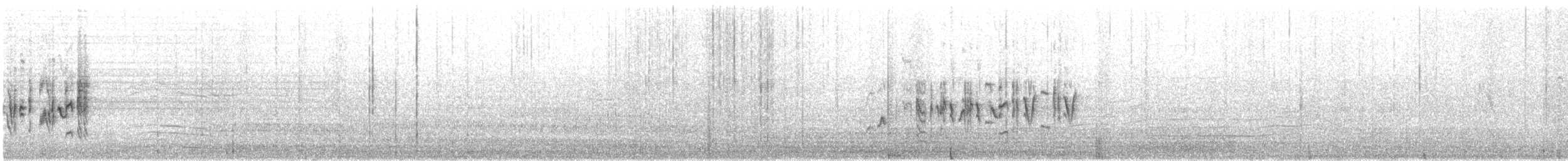 Balearengrasmücke - ML437947291