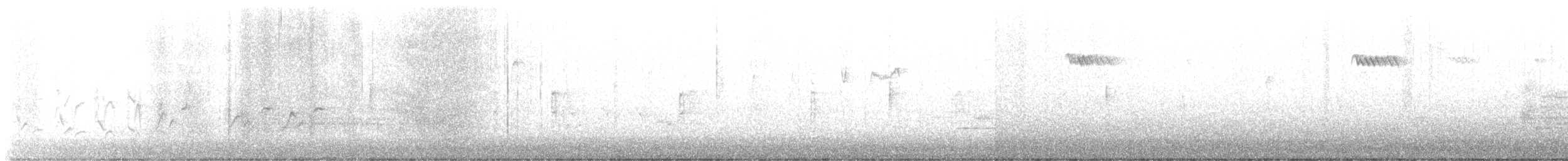 Brown Creeper - ML437973981