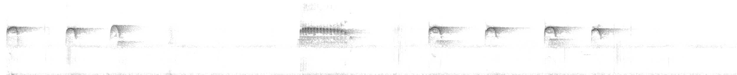 Spotted Barbtail - ML438011761