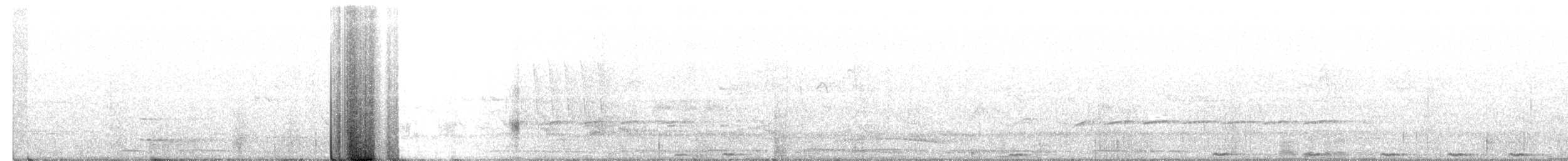 Fork-tailed Drongo-Cuckoo - ML438109351