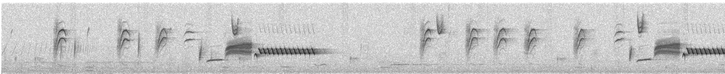 Длиннохвостый крапивник - ML438163051