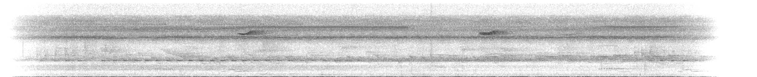 Белобрюхий зимородок - ML438172611