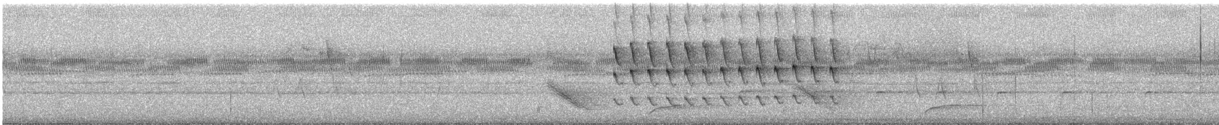 tverrhalehauk (chionogaster) (hvitbrysthauk) - ML438195851