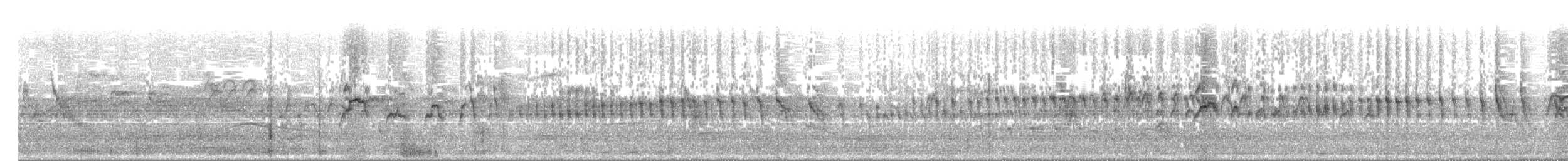 シロハラアマツバメ - ML438216181