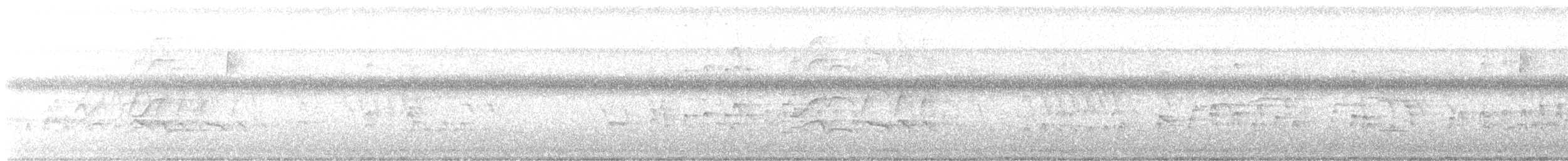 Kara Karınlı Islıkçı Ördek - ML438344651
