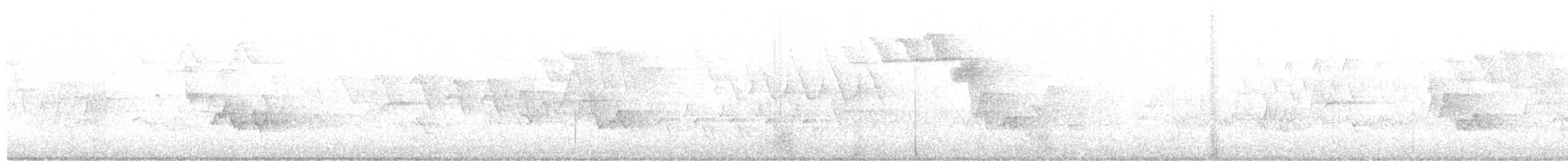フタスジアメリカムシクイ - ML438365281