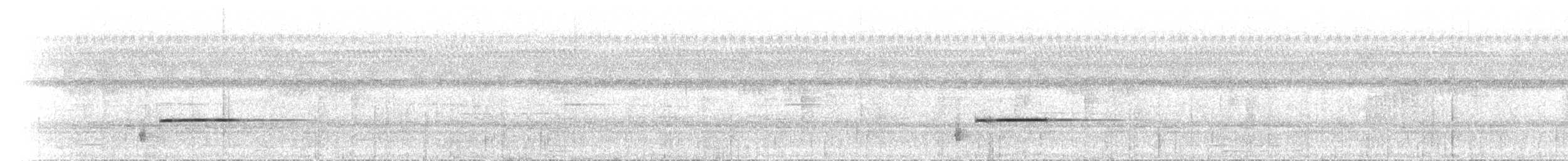 Матинера широкоброва - ML438472461