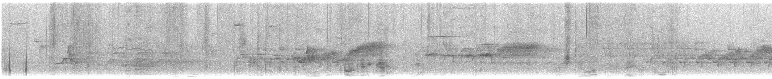 Black-throated Blue Warbler - ML438488841