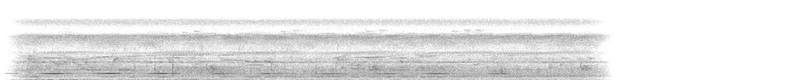 Lowland Sooty Boubou - ML438498711