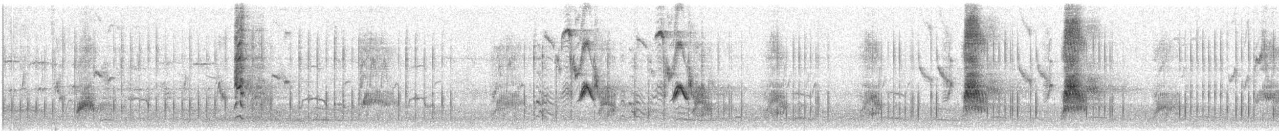 Star - ML438522371