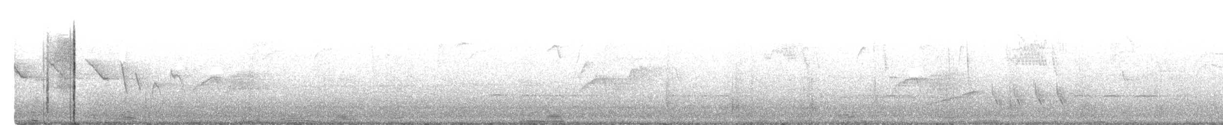 Louisiana Waterthrush - ML438599171