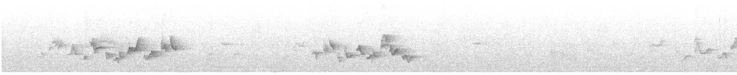 Western Warbling Vireo - ML438623241