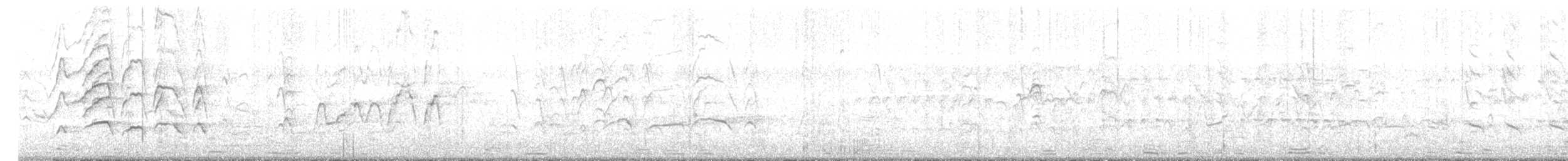 Kara Karınlı Islıkçı Ördek (fulgens) - ML438788211