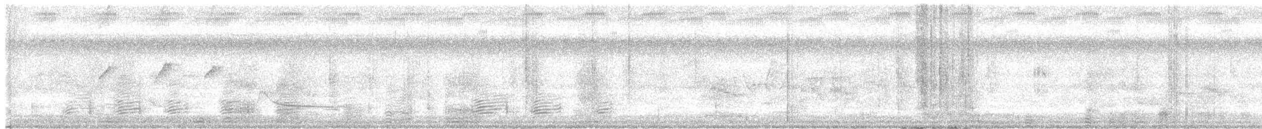 Pied Heron - ML438819811