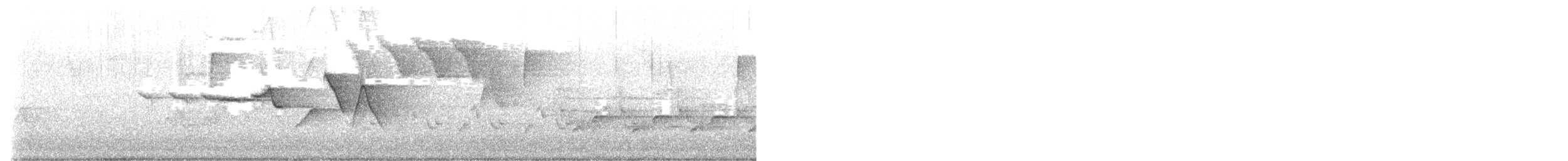 Paruline de Swainson - ML438840521
