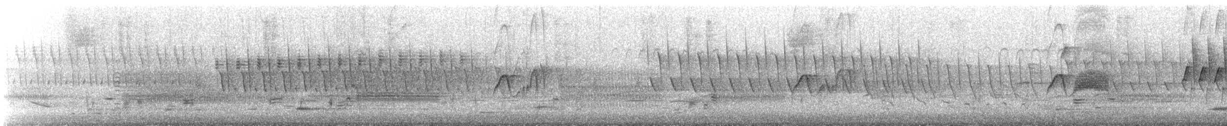 Swamp Sparrow - ML438927371