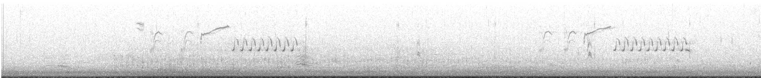Bewick's Wren - ML438961931