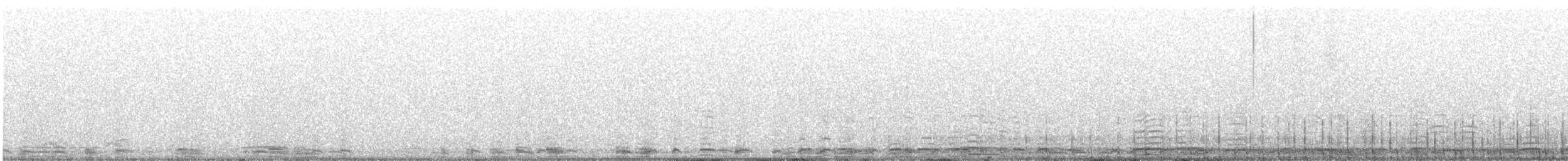Trumpeter Swan - ML438969861