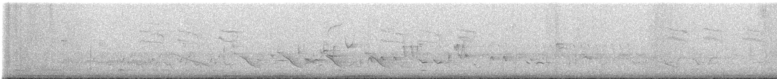 Oriole des vergers - ML438997951