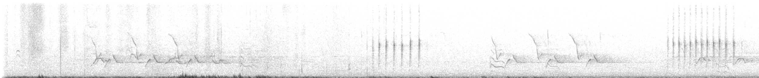 שחרורית חומת-ראש - ML439019121