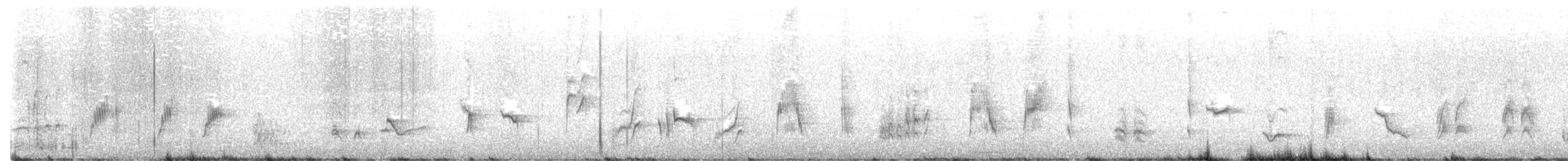 Long-billed Thrasher - ML439020381