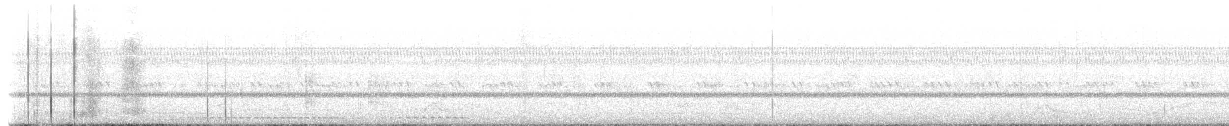 Сплюшка північна (підвид mccallii) - ML439024881