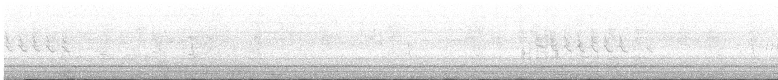 Antillennachtschwalbe - ML439108031