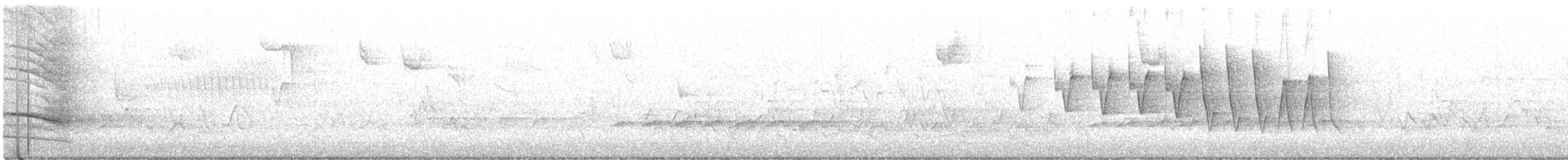 Northern Waterthrush - ML439109281
