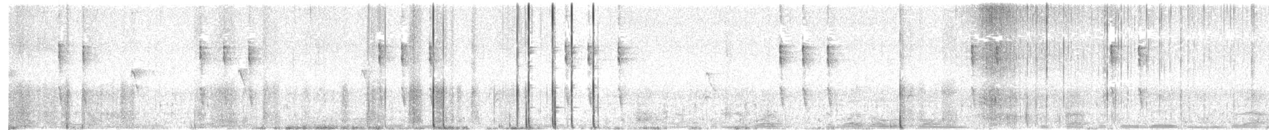 Pacific Wren - ML43924011