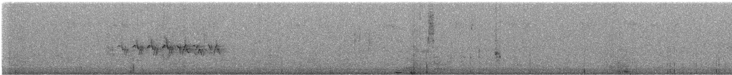 Paruline à croupion jaune (auduboni) - ML43926891