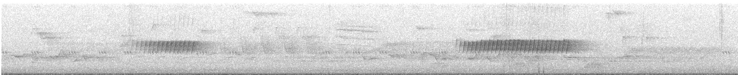 Pine Warbler - ML439289291