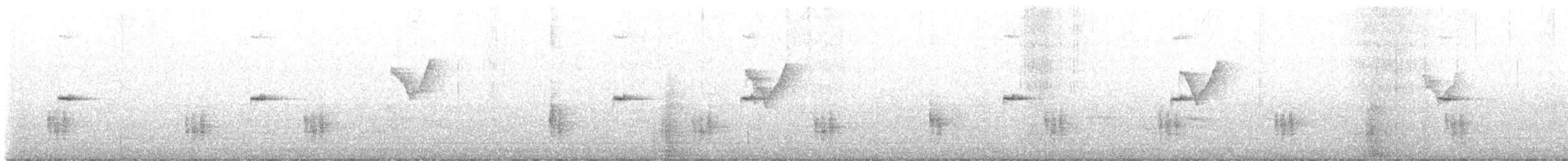 Sakhalin Leaf Warbler - ML439319221