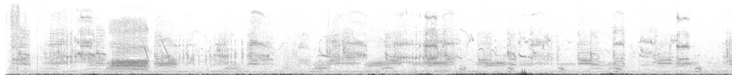 Weißbart-Seeschwalbe - ML439329881