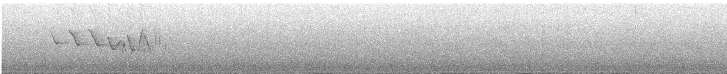 Трясогузковый певун - ML439445791