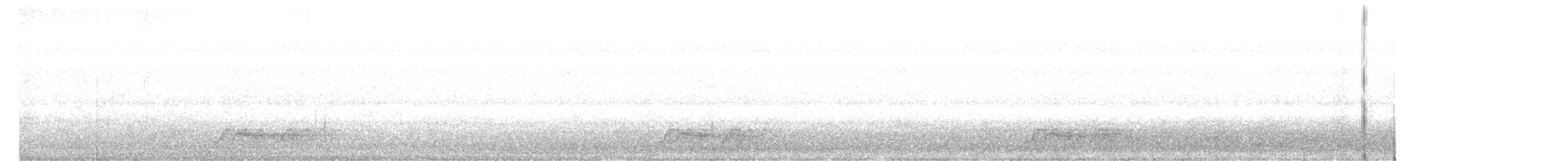 Carolinanachtschwalbe - ML439450511