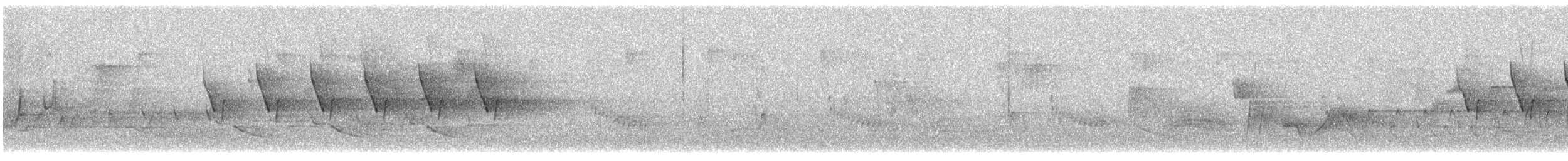 Каролинский крапивник - ML439527111