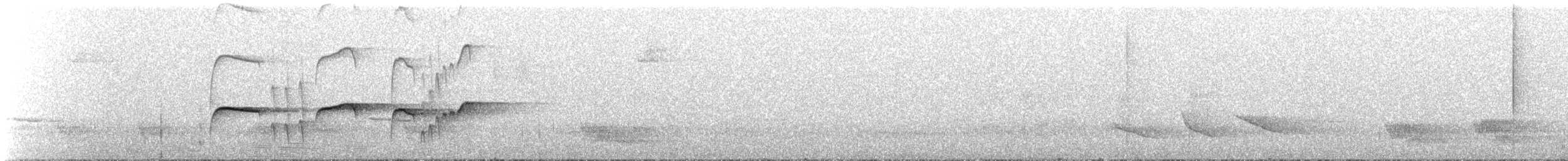 Atlantik Karınca Tiranı - ML439529561
