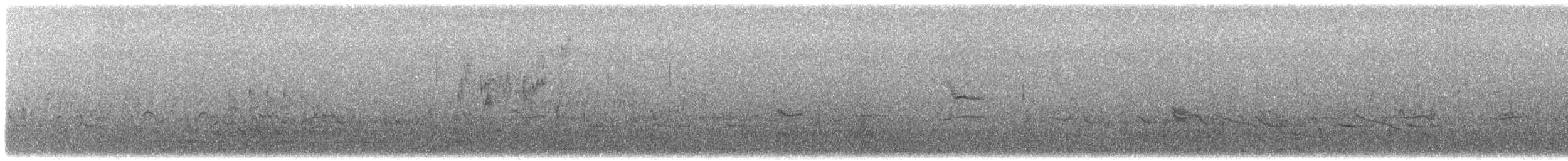 Острохвостая овсянка-барсучок - ML439564101